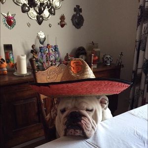 Meet your Posher, Cait